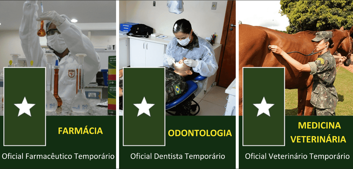 Processo Seletivo 7RM - FDV